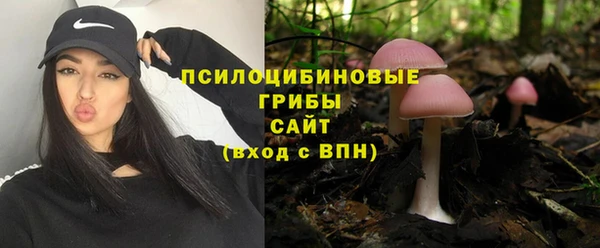 амфетамин Алексин